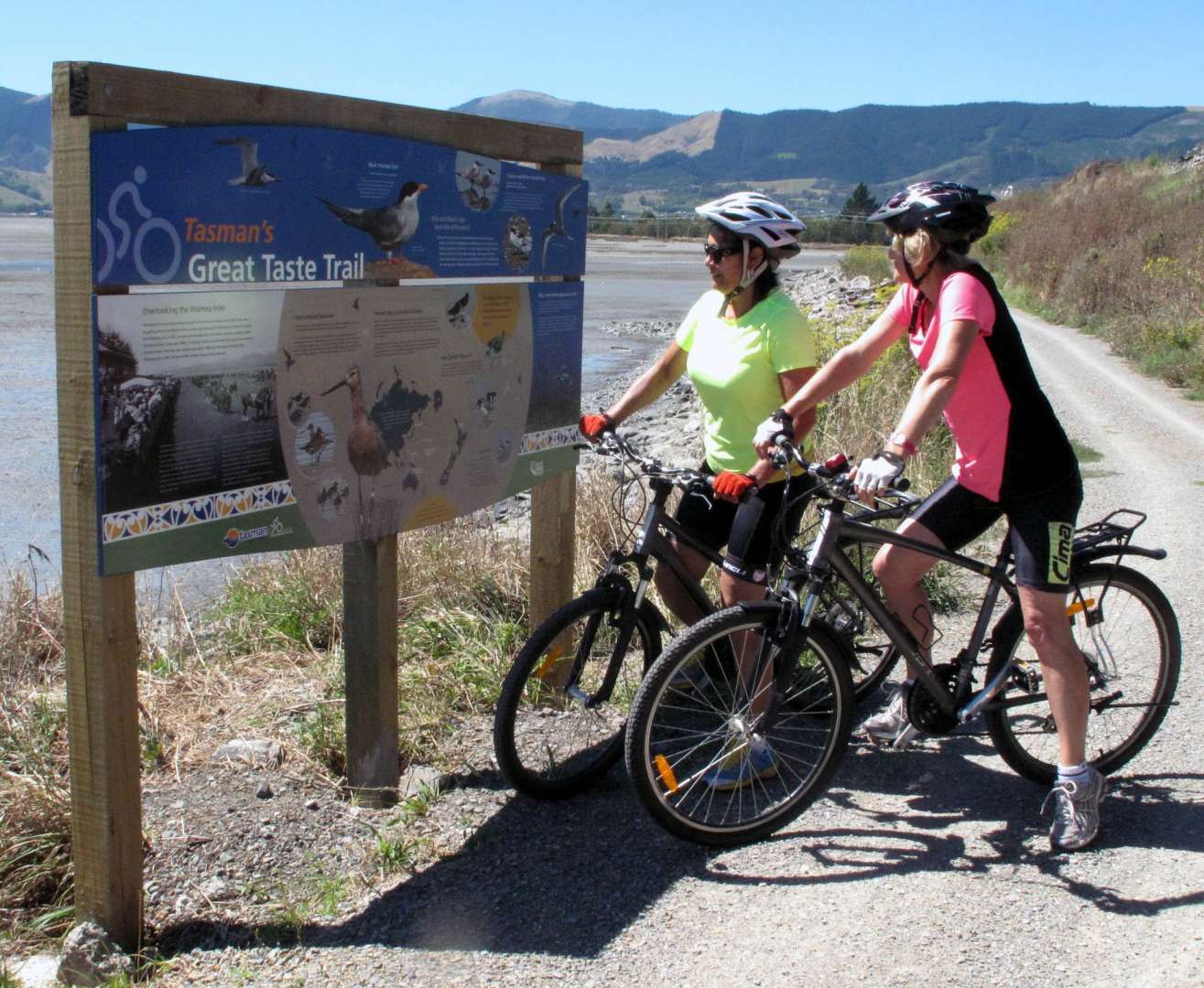 Stunning coastal views and estuary wildlife on the Great Taste Trail